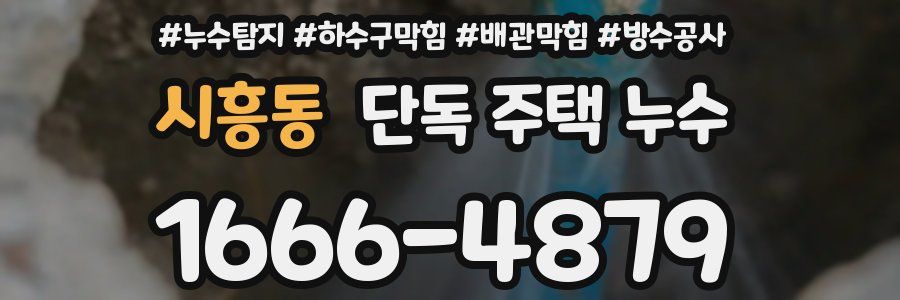 시흥동 단독 주택 누수