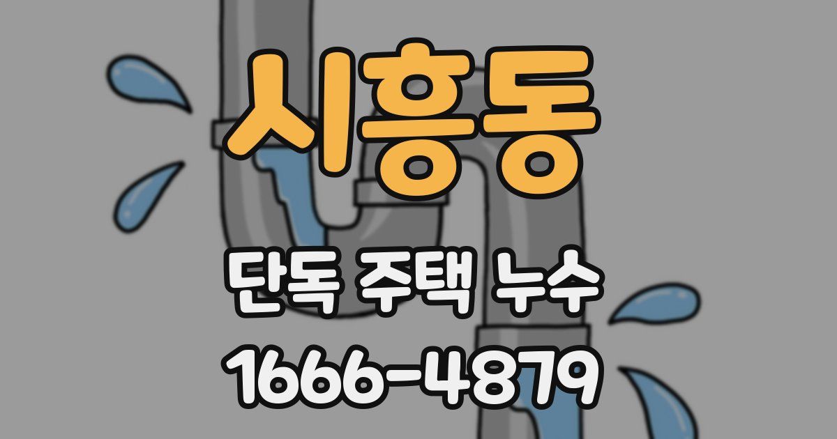 시흥동 단독 주택 누수