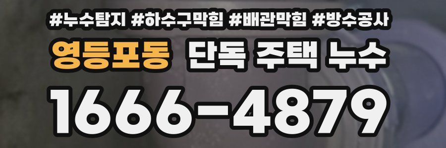 영등포동 단독 주택 누수