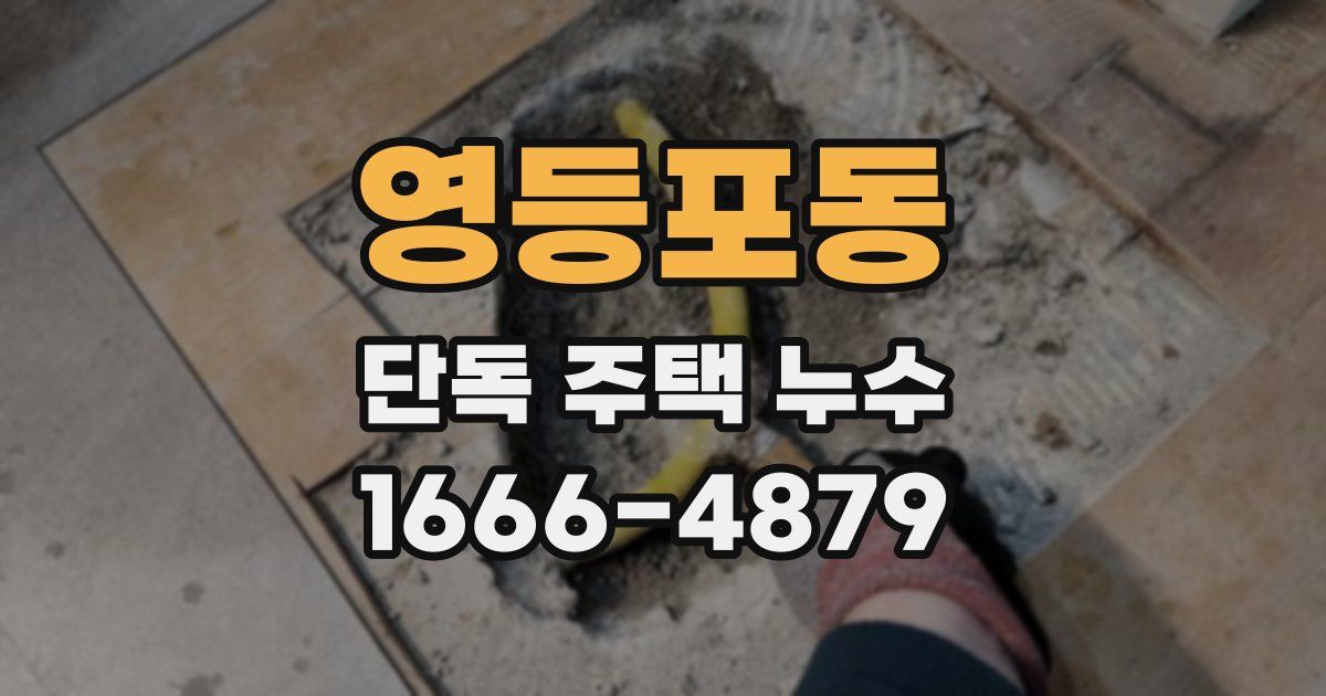영등포동 단독 주택 누수