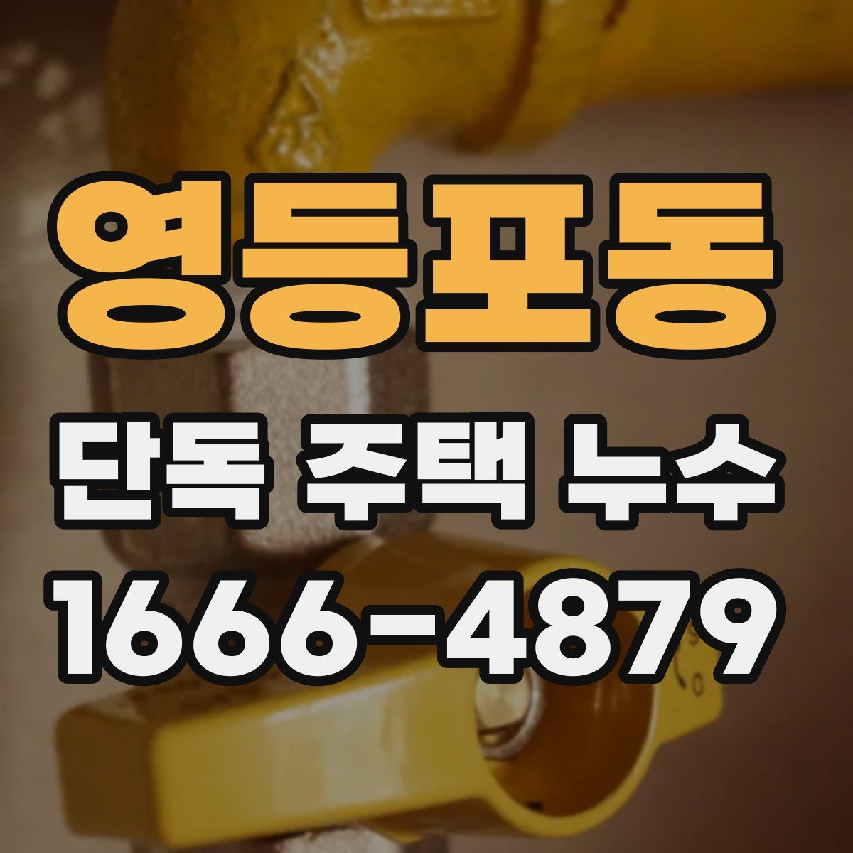 영등포동 단독 주택 누수