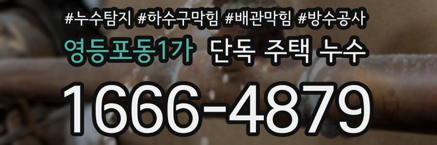 영등포동1가 단독 주택 누수