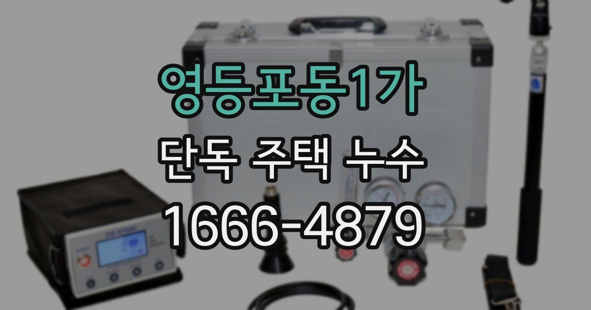 영등포동1가 단독 주택 누수