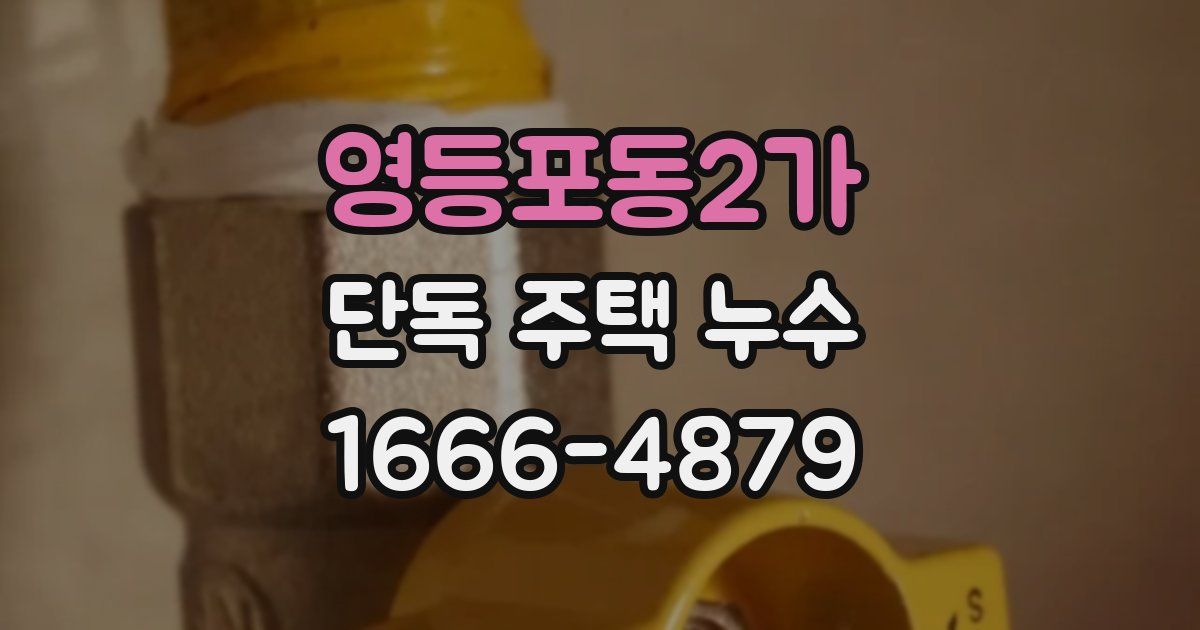 영등포동2가 단독 주택 누수