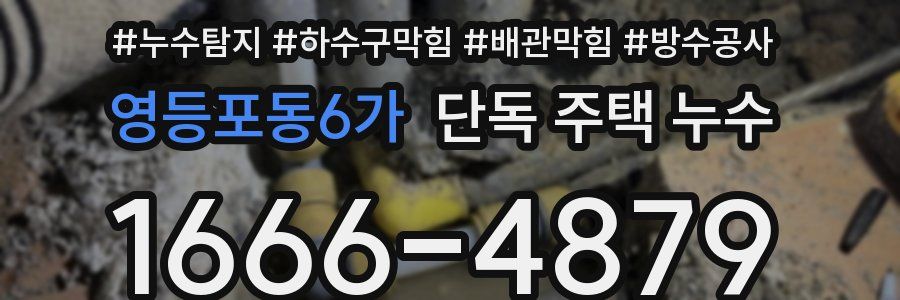 영등포동6가 단독 주택 누수