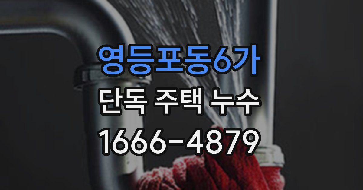 영등포동6가 단독 주택 누수