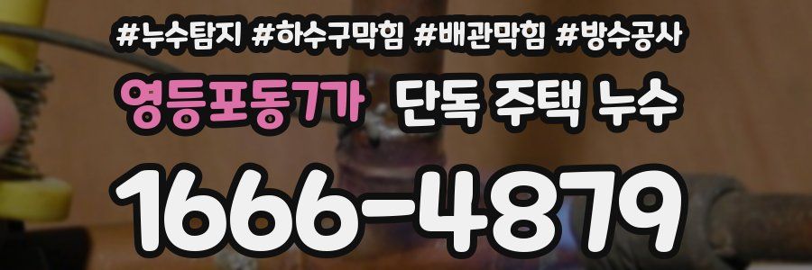 영등포동7가 단독 주택 누수