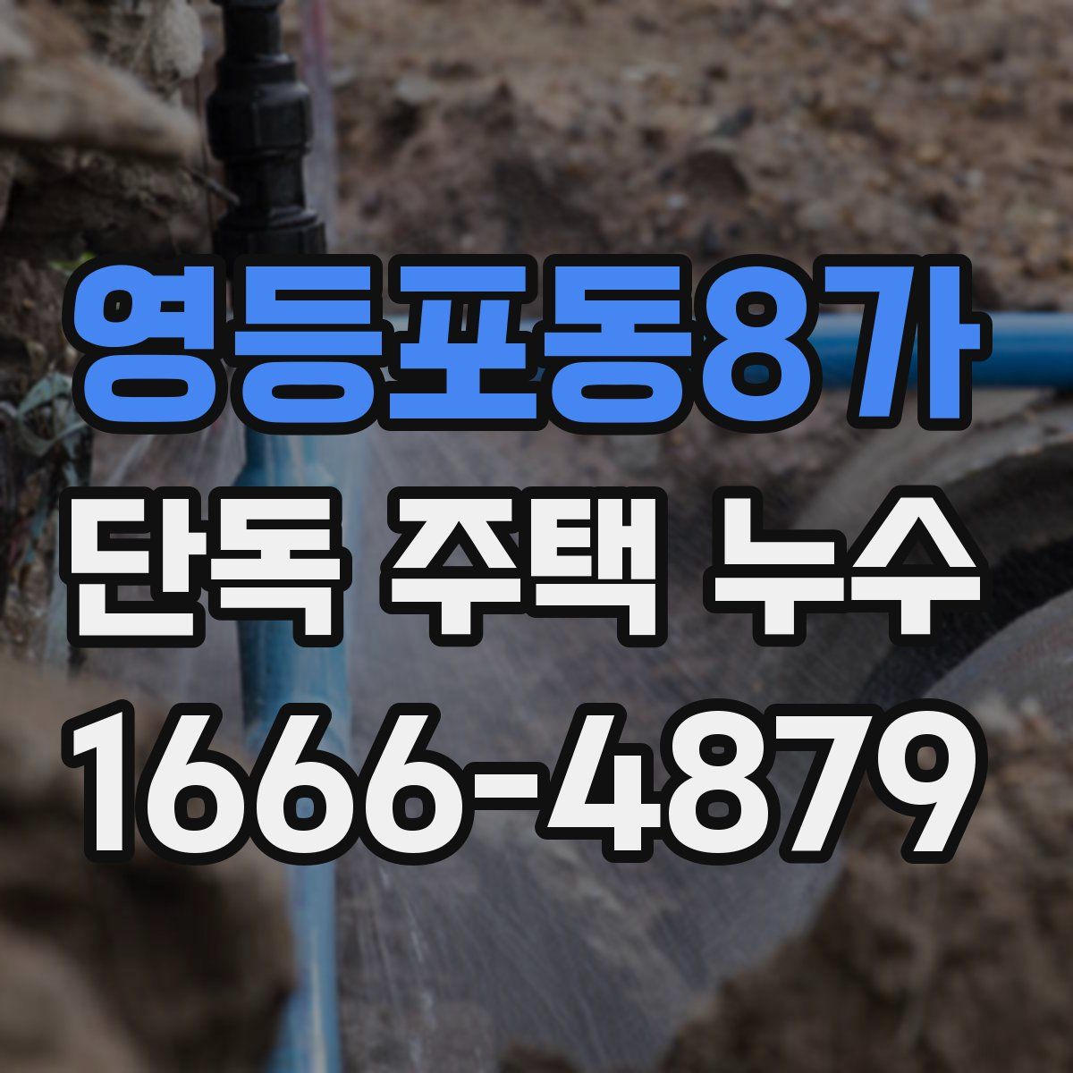 영등포동8가 단독 주택 누수