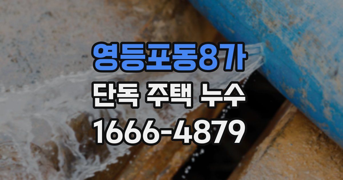 영등포동8가 단독 주택 누수