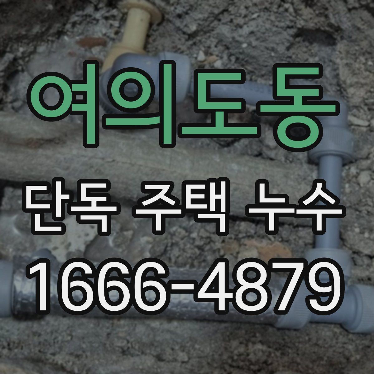 여의도동 단독 주택 누수 실내 곰팡이와 함께 확인할 것