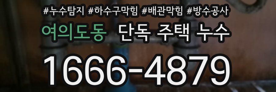 여의도동 단독 주택 누수