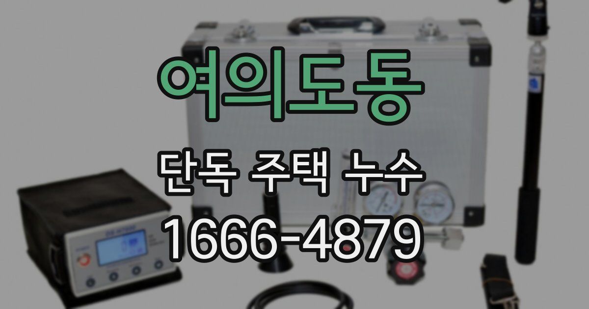 여의도동 단독 주택 누수