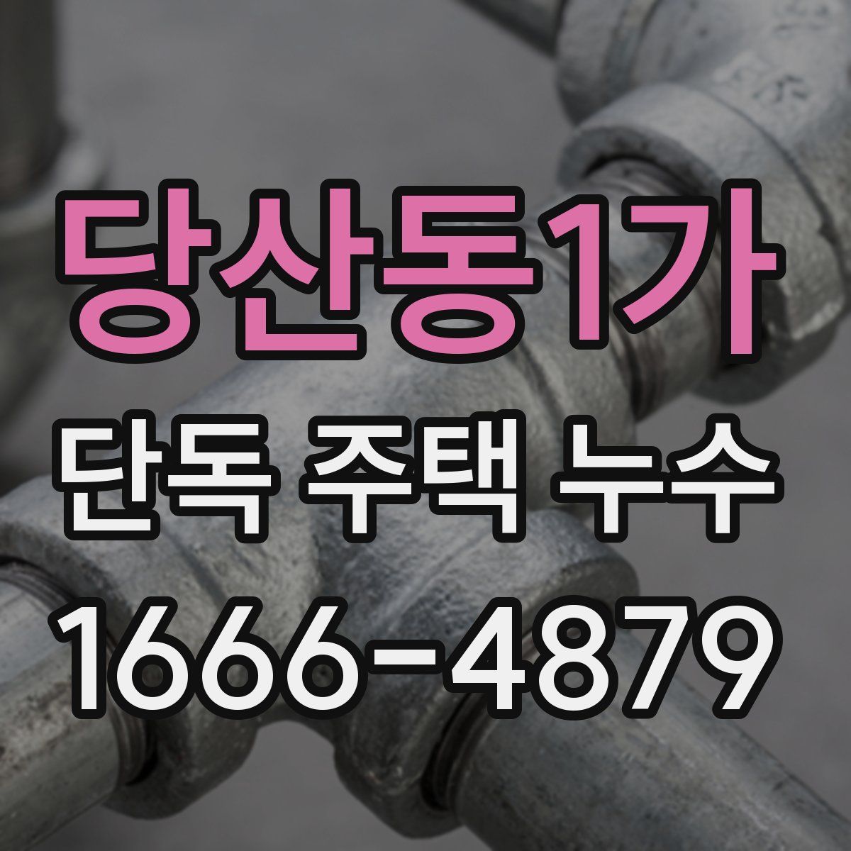 당산동1가 단독 주택 누수