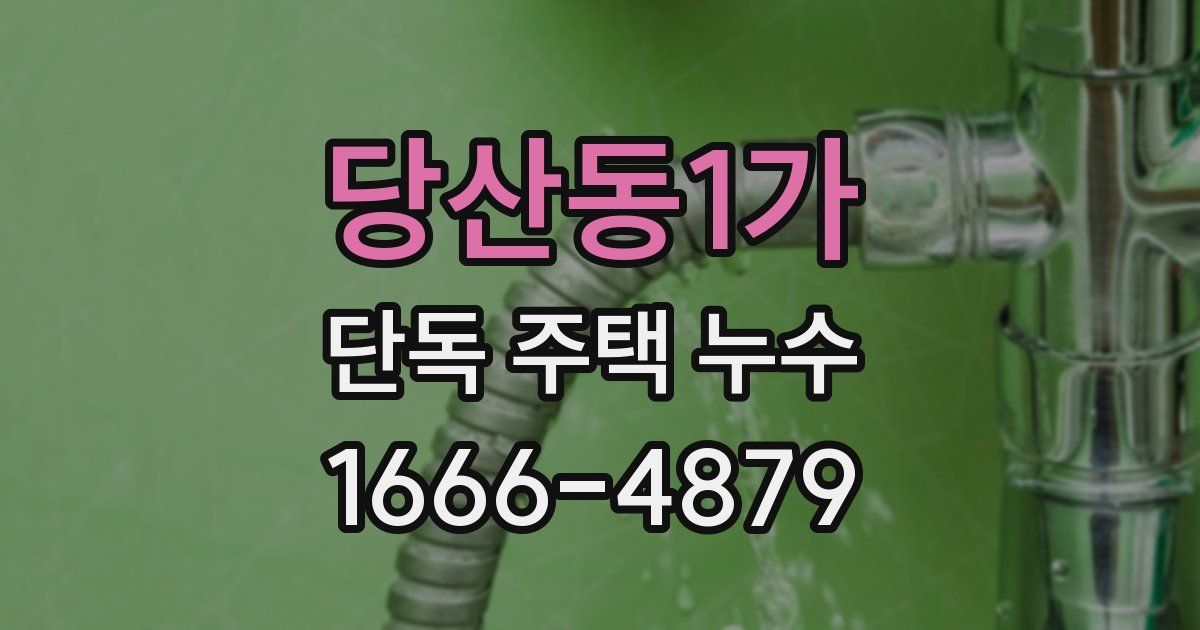 당산동1가 단독 주택 누수
