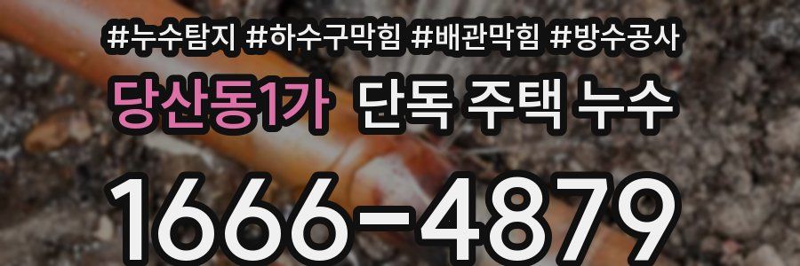 당산동1가 단독 주택 누수