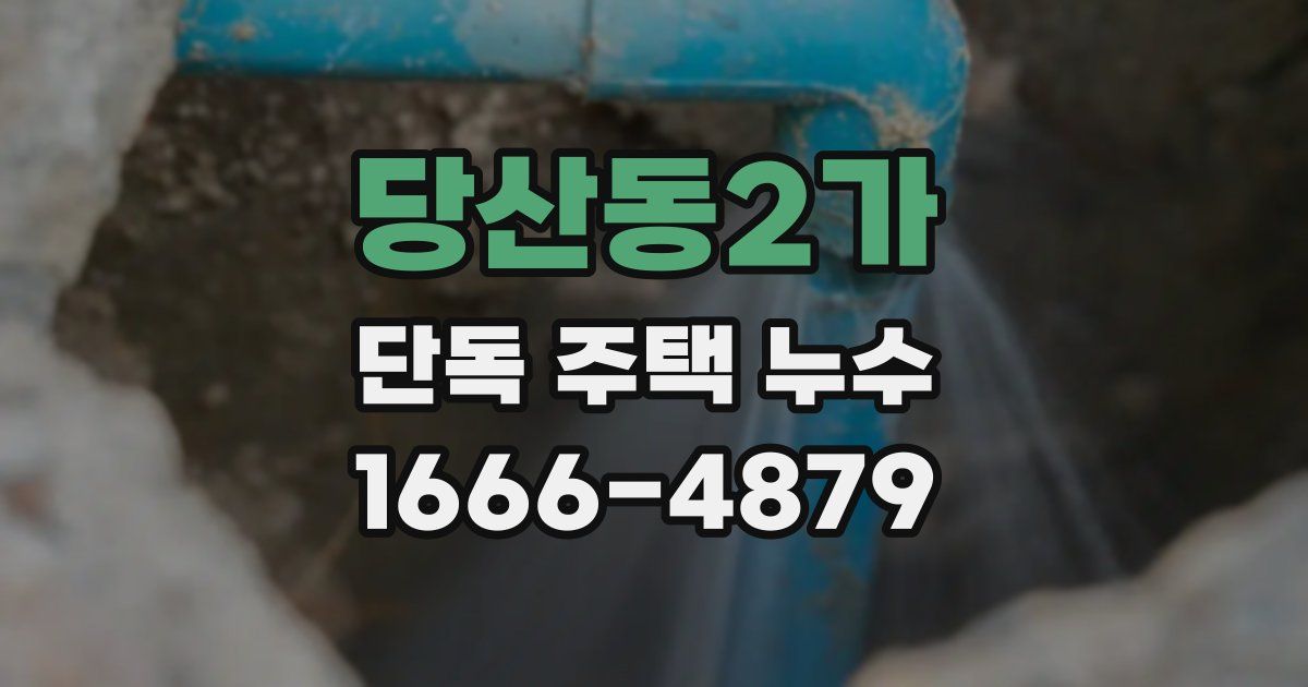 당산동2가 단독 주택 누수