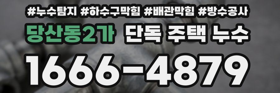 당산동2가 단독 주택 누수