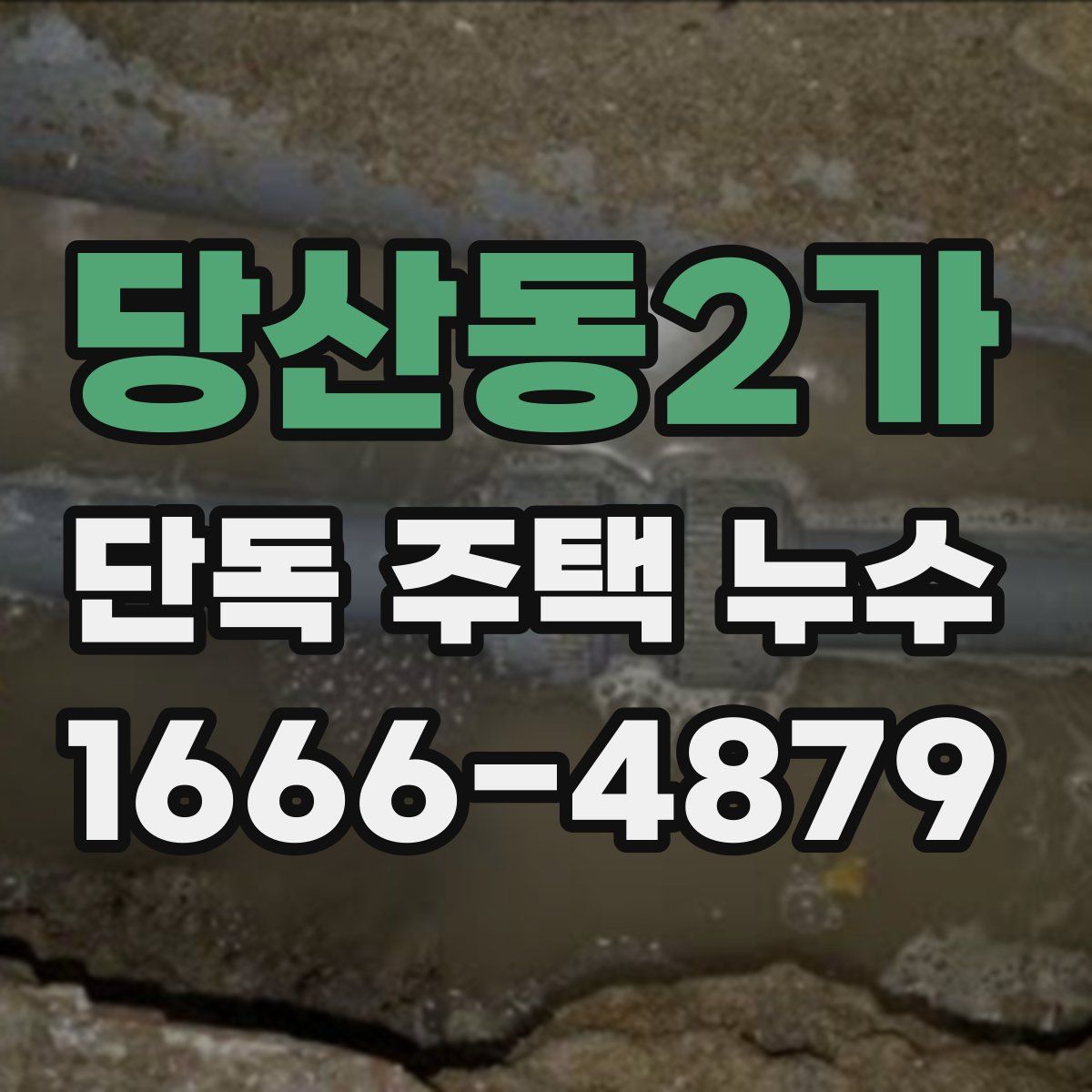 당산동2가 단독 주택 누수