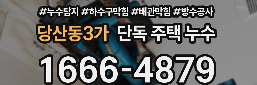 당산동3가 단독 주택 누수