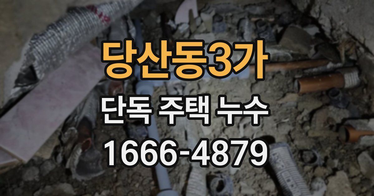 당산동3가 단독 주택 누수