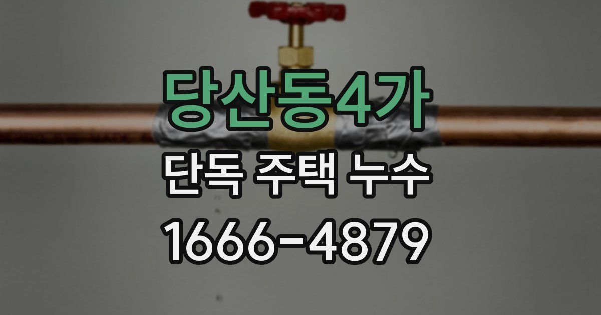 당산동4가 단독 주택 누수