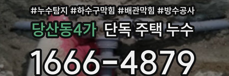 당산동4가 단독 주택 누수