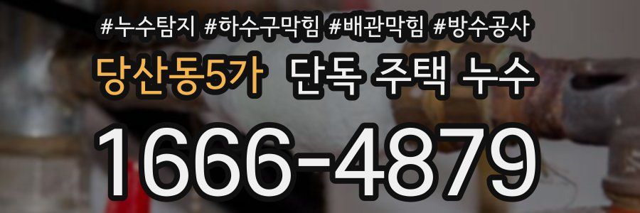 당산동5가 단독 주택 누수