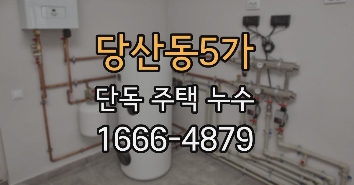 당산동5가 단독 주택 누수
