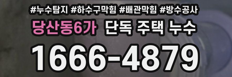 당산동6가 단독 주택 누수