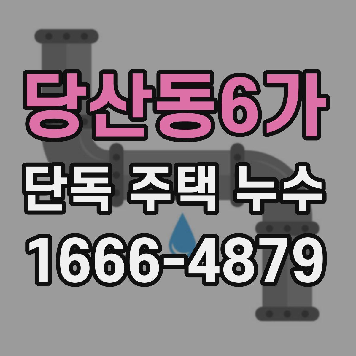 당산동6가 단독 주택 누수
