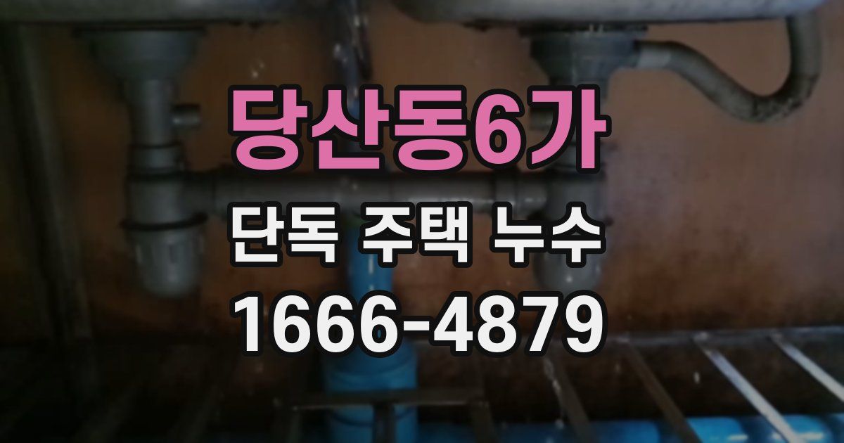 당산동6가 단독 주택 누수