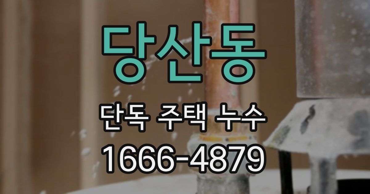 당산동 단독 주택 누수