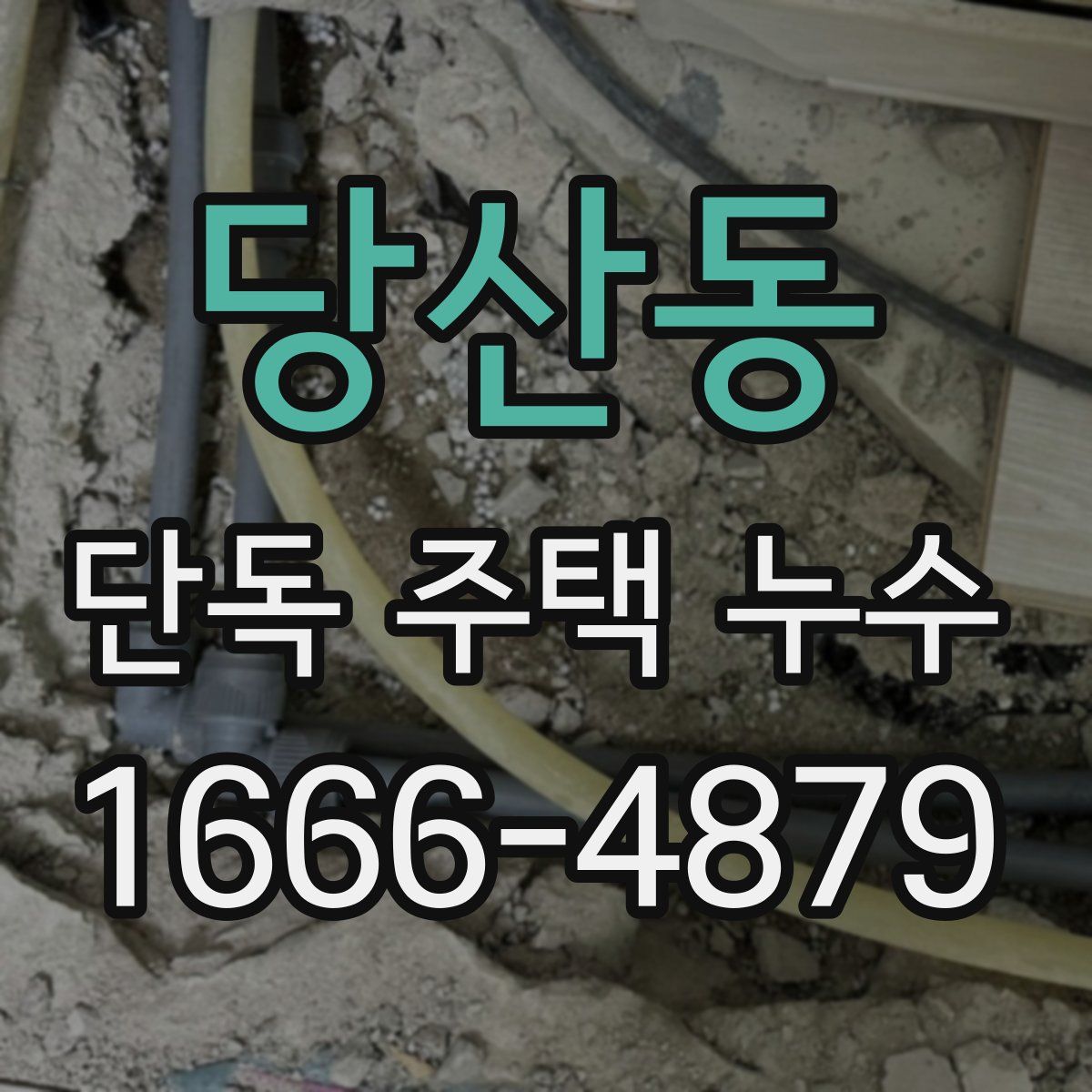 당산동 단독 주택 누수