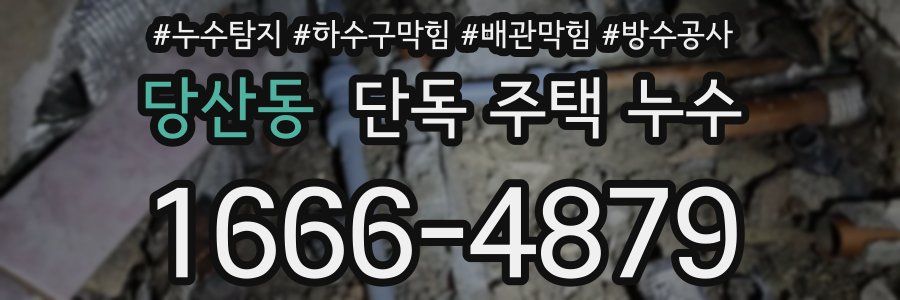당산동 단독 주택 누수