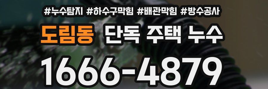 도림동 단독 주택 누수