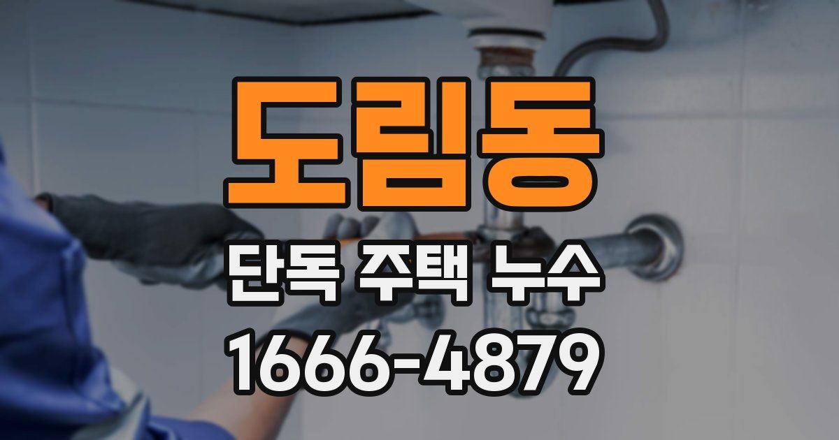 도림동 단독 주택 누수