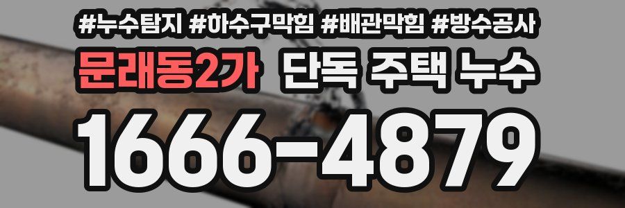 문래동2가 단독 주택 누수
