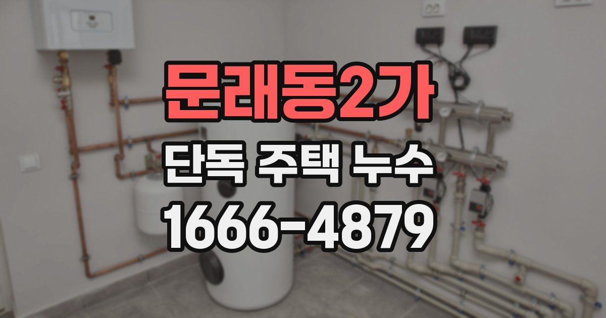 문래동2가 단독 주택 누수
