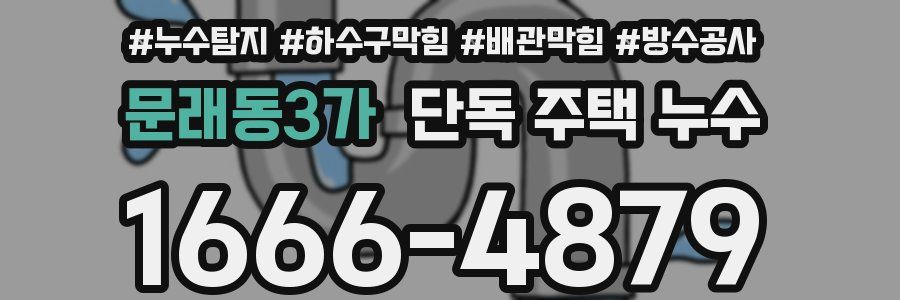 문래동3가 단독 주택 누수