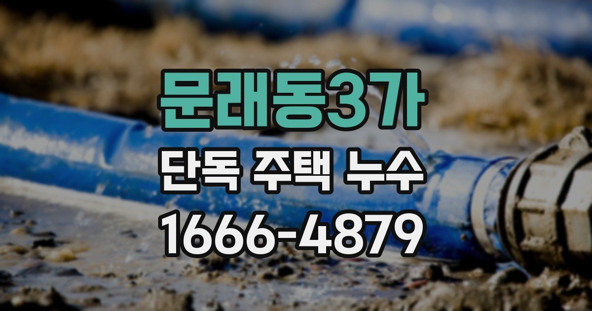 문래동3가 단독 주택 누수
