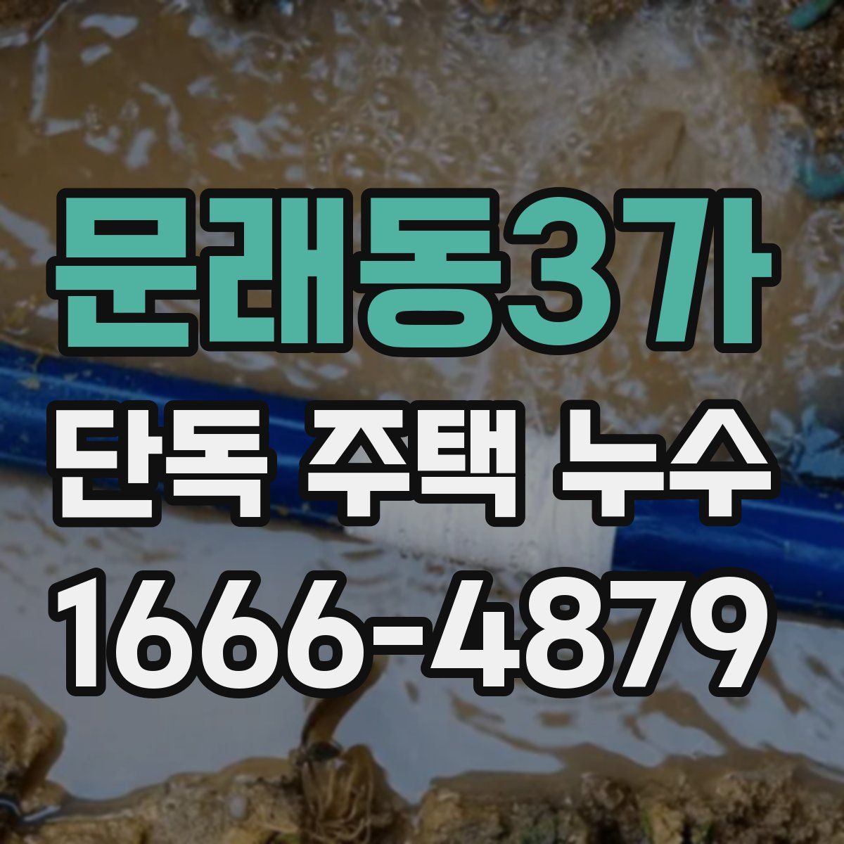 문래동3가 단독 주택 누수