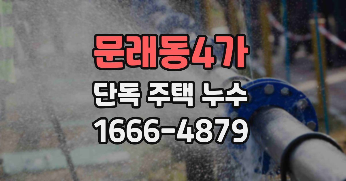 문래동4가 단독 주택 누수