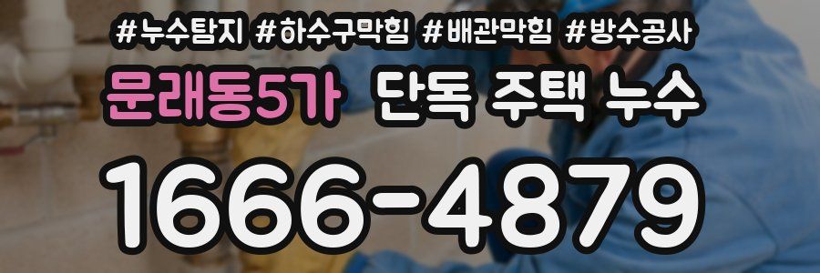 문래동5가 단독 주택 누수