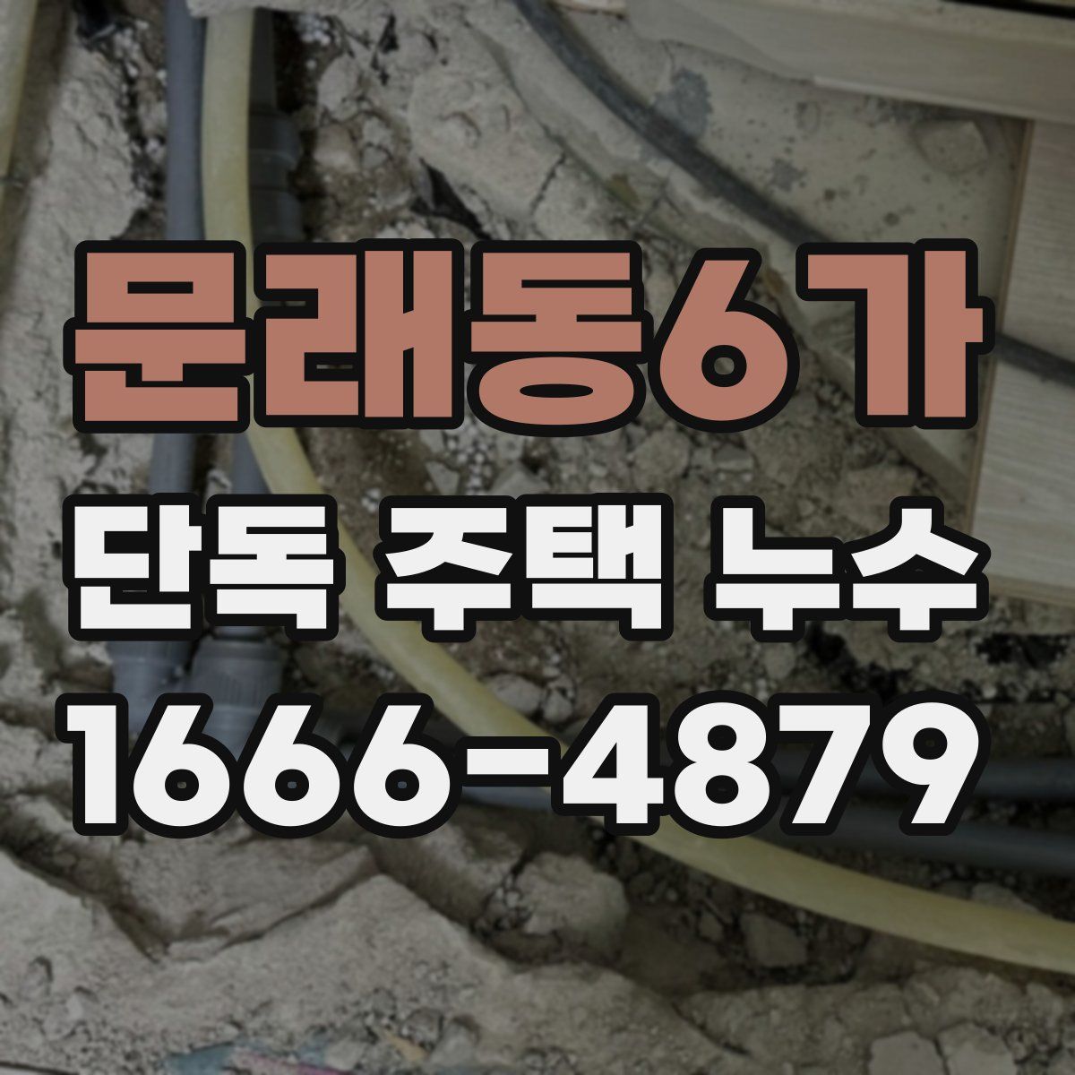문래동6가 단독 주택 누수