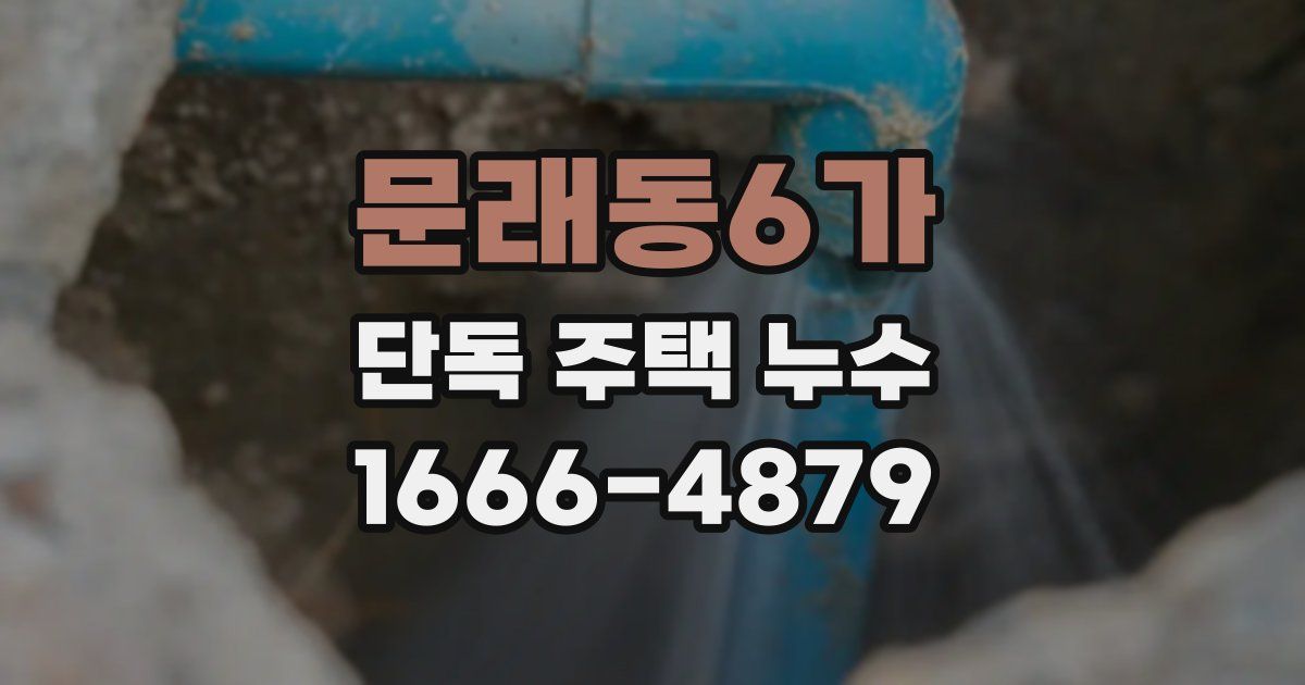 문래동6가 단독 주택 누수