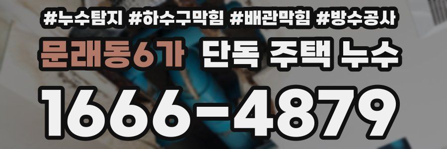 문래동6가 단독 주택 누수