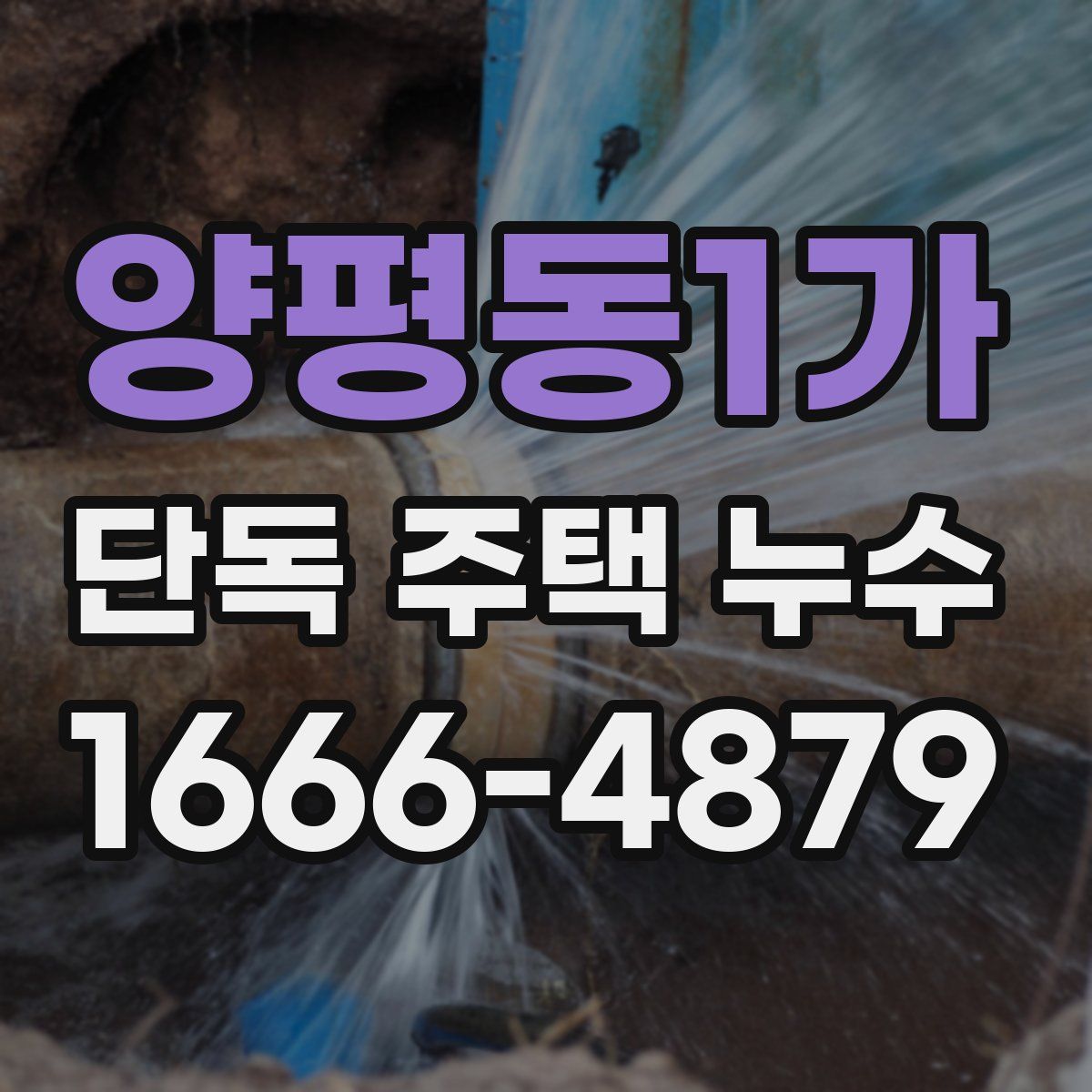 양평동1가 단독 주택 누수