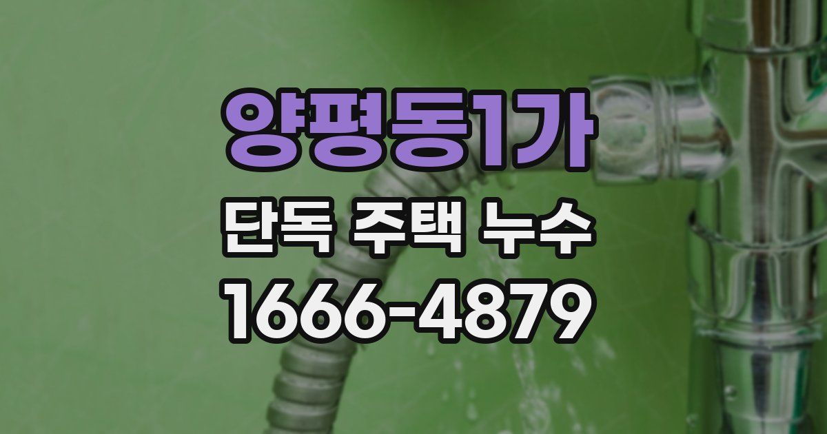 양평동1가 단독 주택 누수