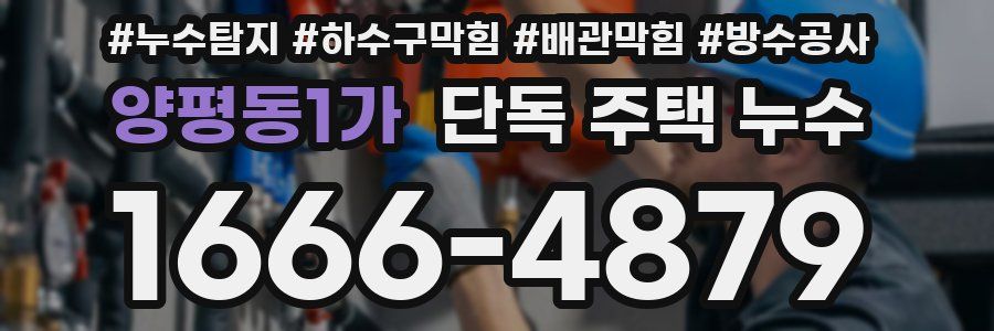 양평동1가 단독 주택 누수