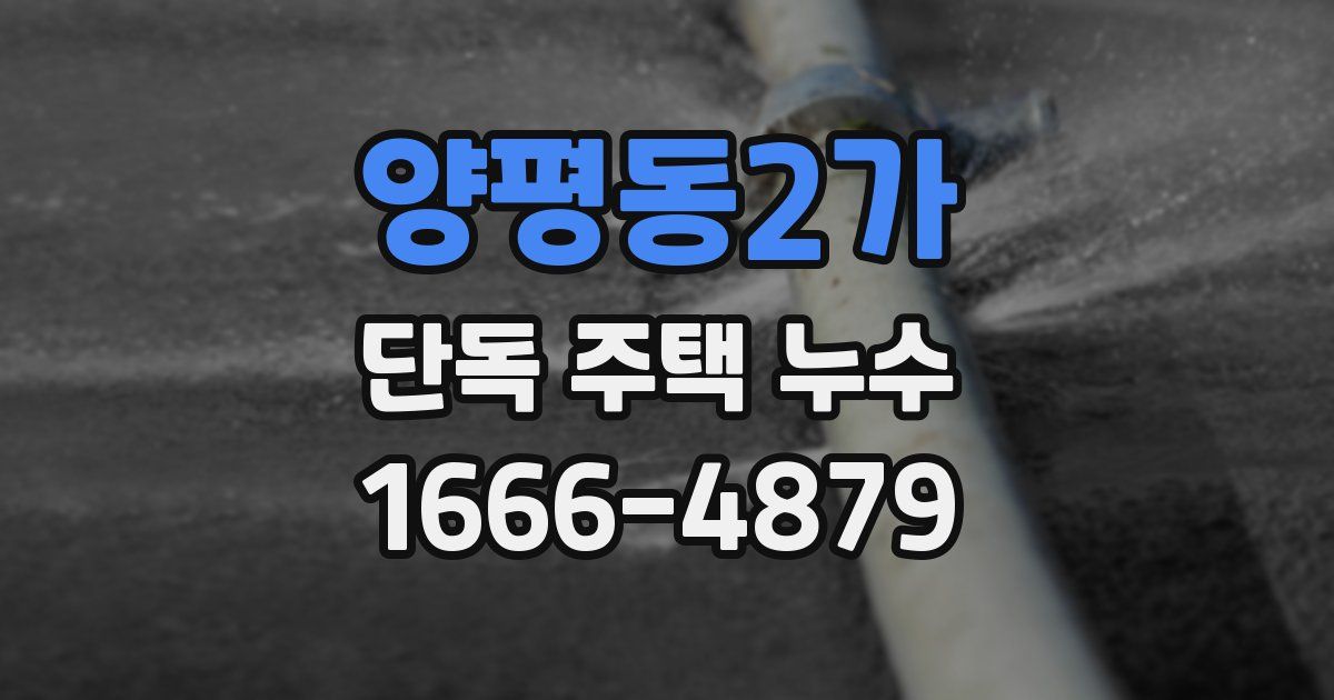 양평동2가 단독 주택 누수
